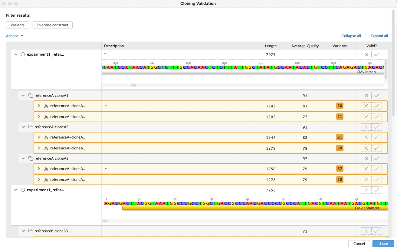cloning validation view mapping.gif