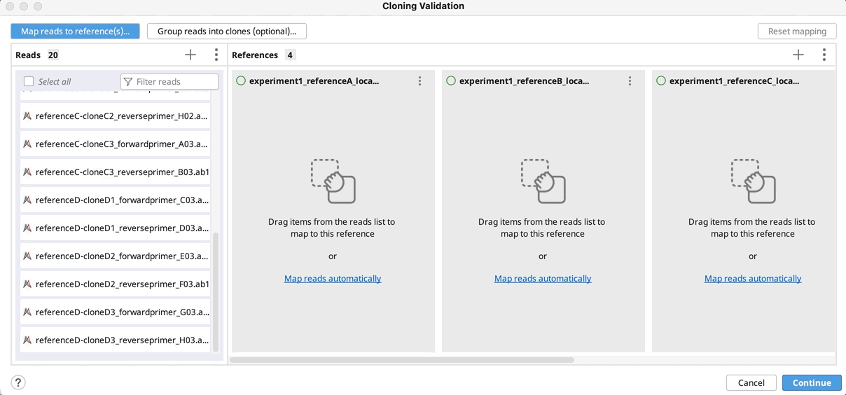 cloning validation auto group.gif