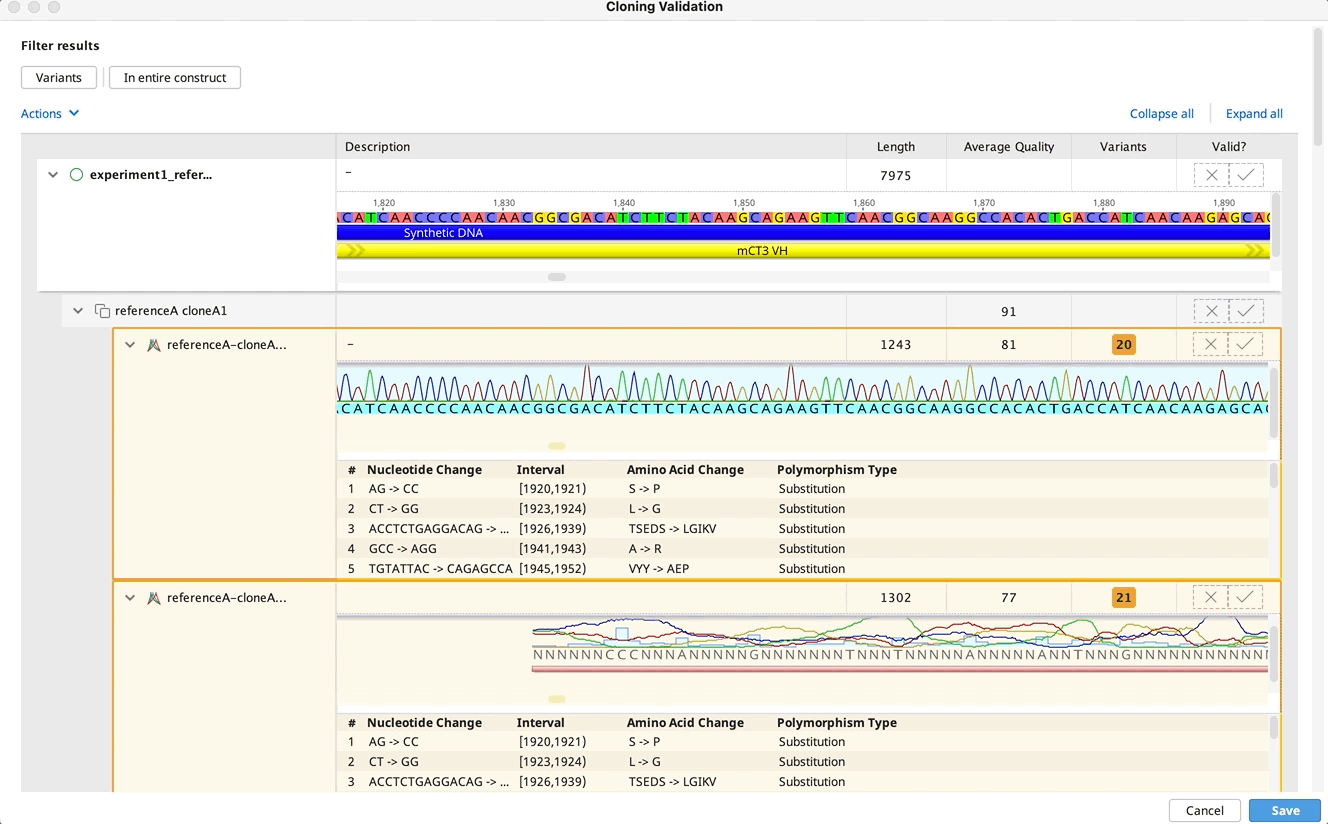 cloning validation filter.gif