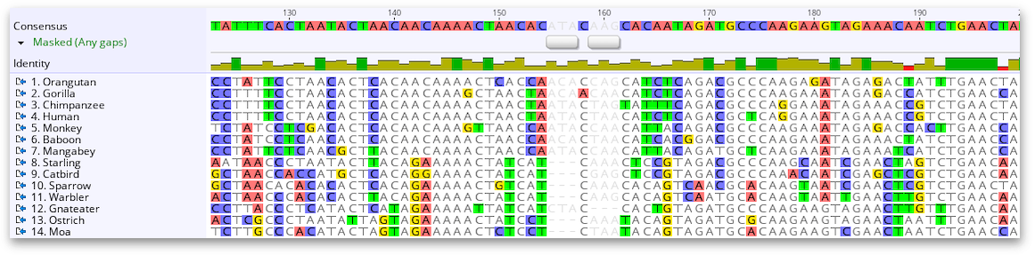 Assembly of SARS-CoV-2 genomes from tiled amplicon Illumina